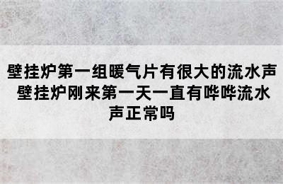 壁挂炉第一组暖气片有很大的流水声 壁挂炉刚来第一天一直有哗哗流水声正常吗